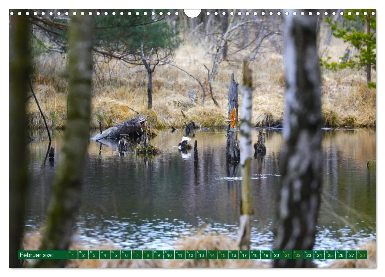 Bild: 9783457448601 | Der Loben. Im Reich der Moorgeister und Kreuzottern-...