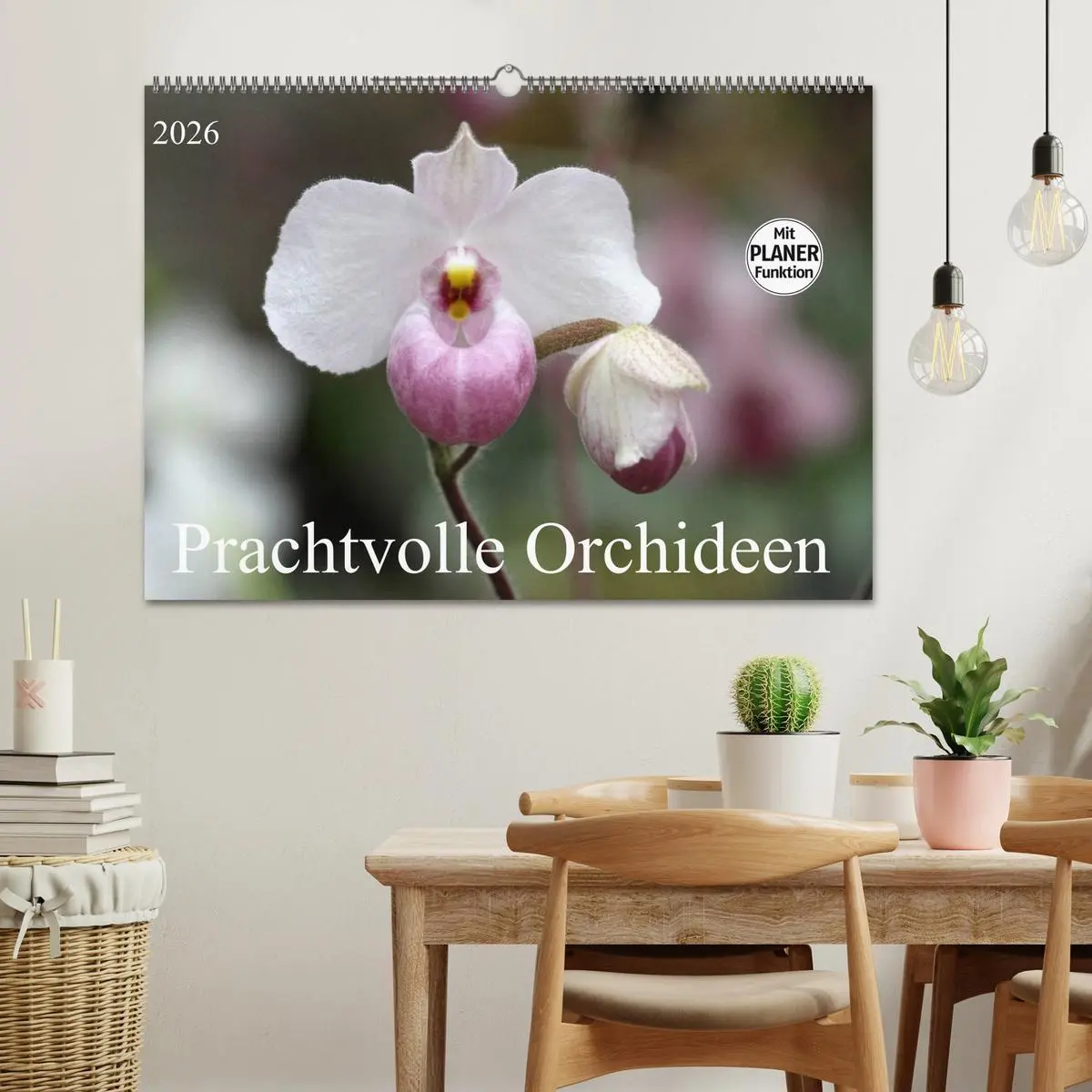 Bild: 9783457998601 | Prachtvolle Orchideen (Wandkalender 2026 DIN A2 quer), CALVENDO...