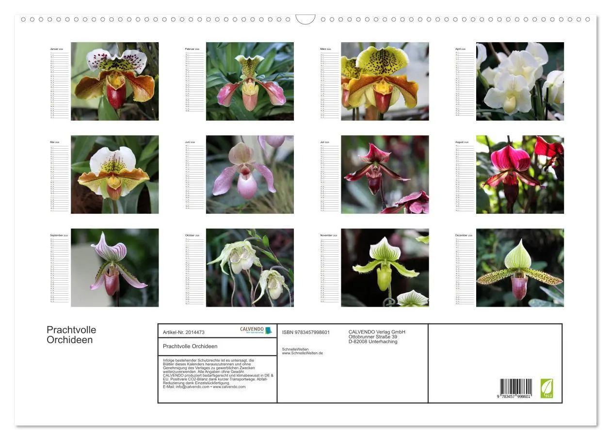 Bild: 9783457998601 | Prachtvolle Orchideen (Wandkalender 2026 DIN A2 quer), CALVENDO...