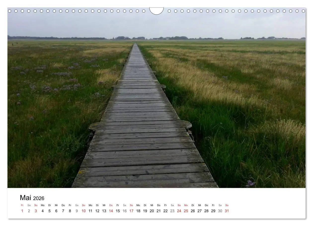 Bild: 9783516158601 | St. Peter Ording 2026 (Wandkalender 2026 DIN A3 quer), CALVENDO...