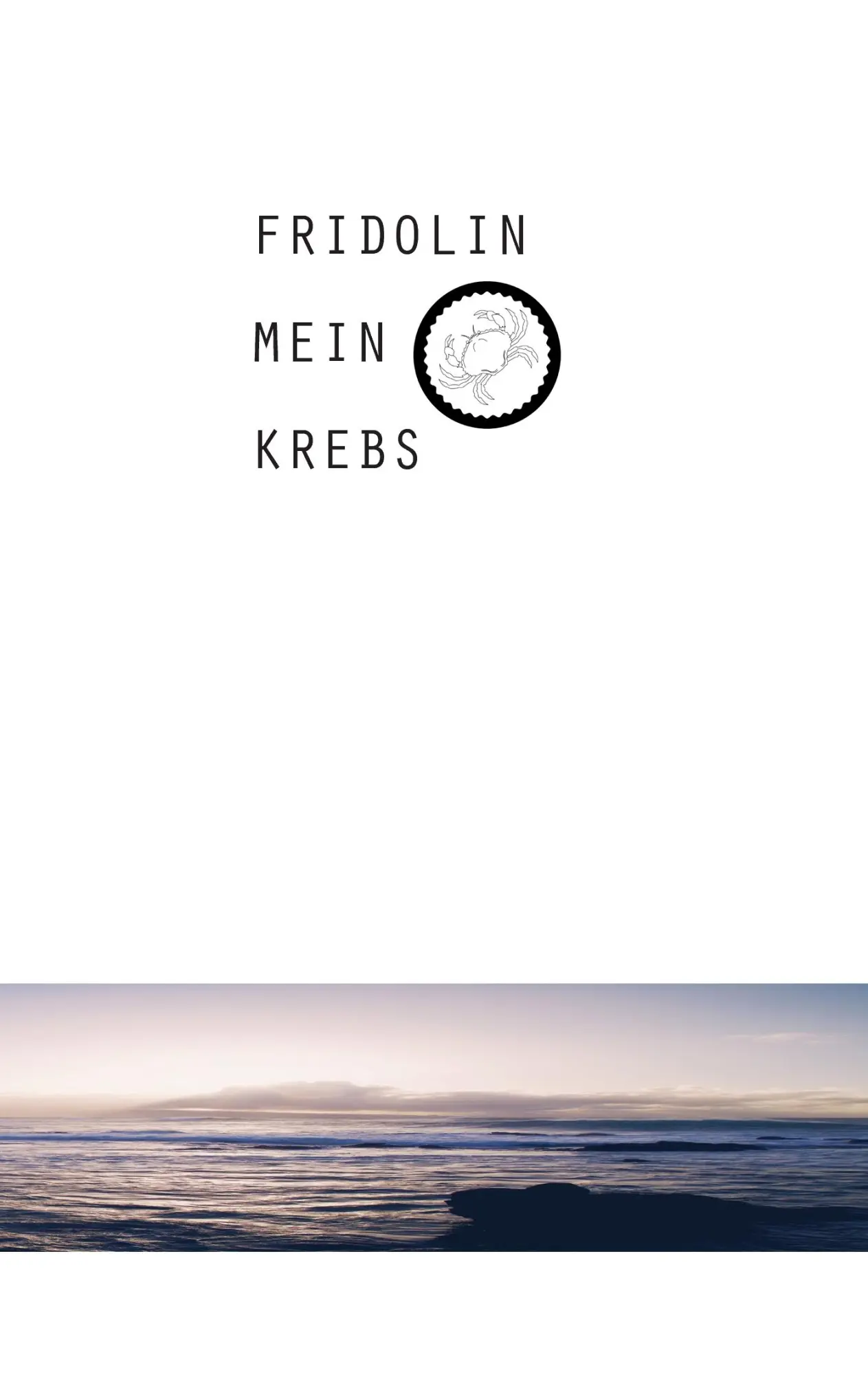 Cover: 9783738608601 | Fridolin mein Krebs | Christine Embs-Lauer | Taschenbuch | 280 S.