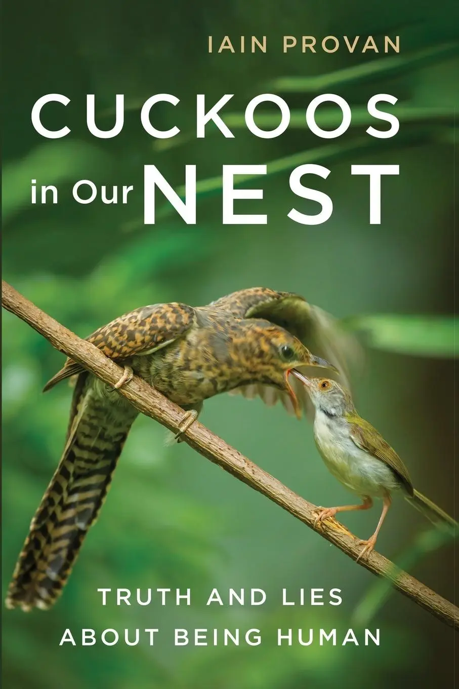 Cover: 9781666768701 | Cuckoos in Our Nest | Iain Provan | Taschenbuch | Englisch | 2023