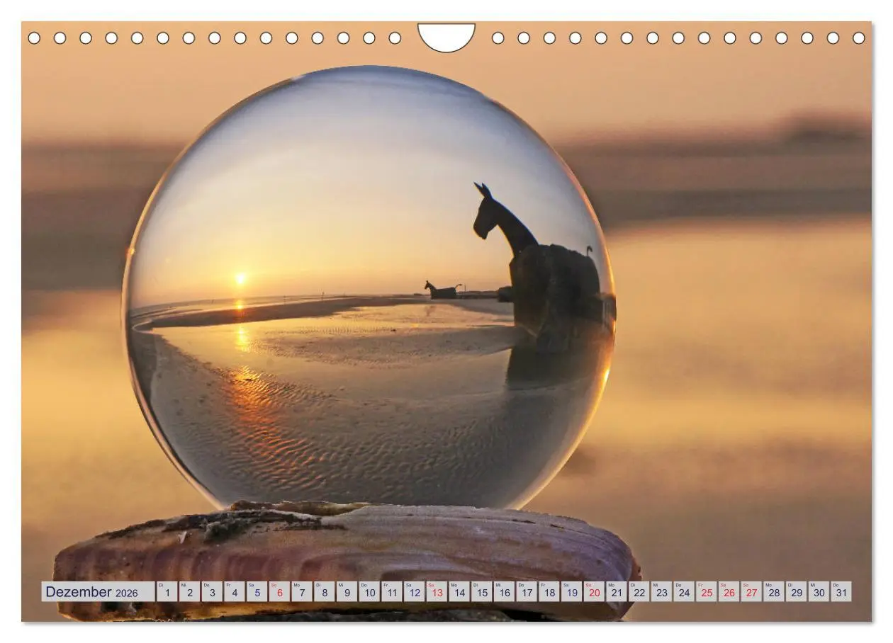 Bild: 9783457818701 | Blavand und die Westküste (Wandkalender 2026 DIN A4 quer), CALVENDO...