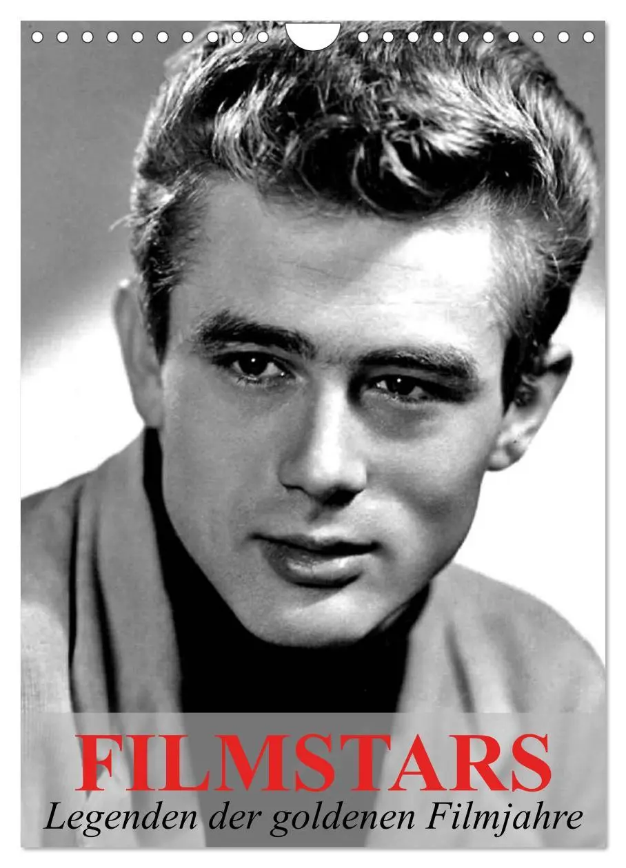 Cover: 9783516458701 | Filmstars - Legenden der goldenen Filmjahre (Wandkalender 2026 DIN...