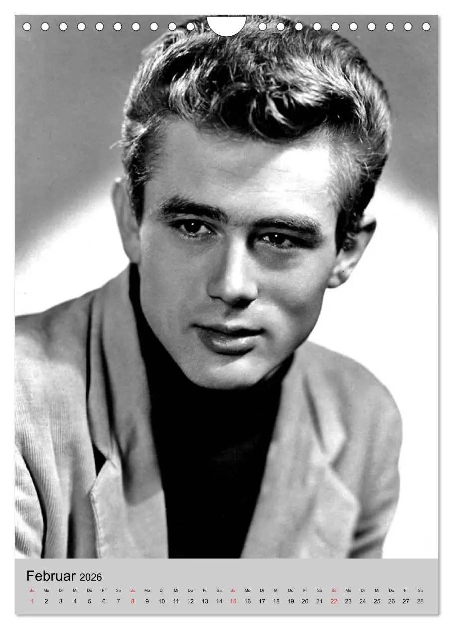 Bild: 9783516458701 | Filmstars - Legenden der goldenen Filmjahre (Wandkalender 2026 DIN...