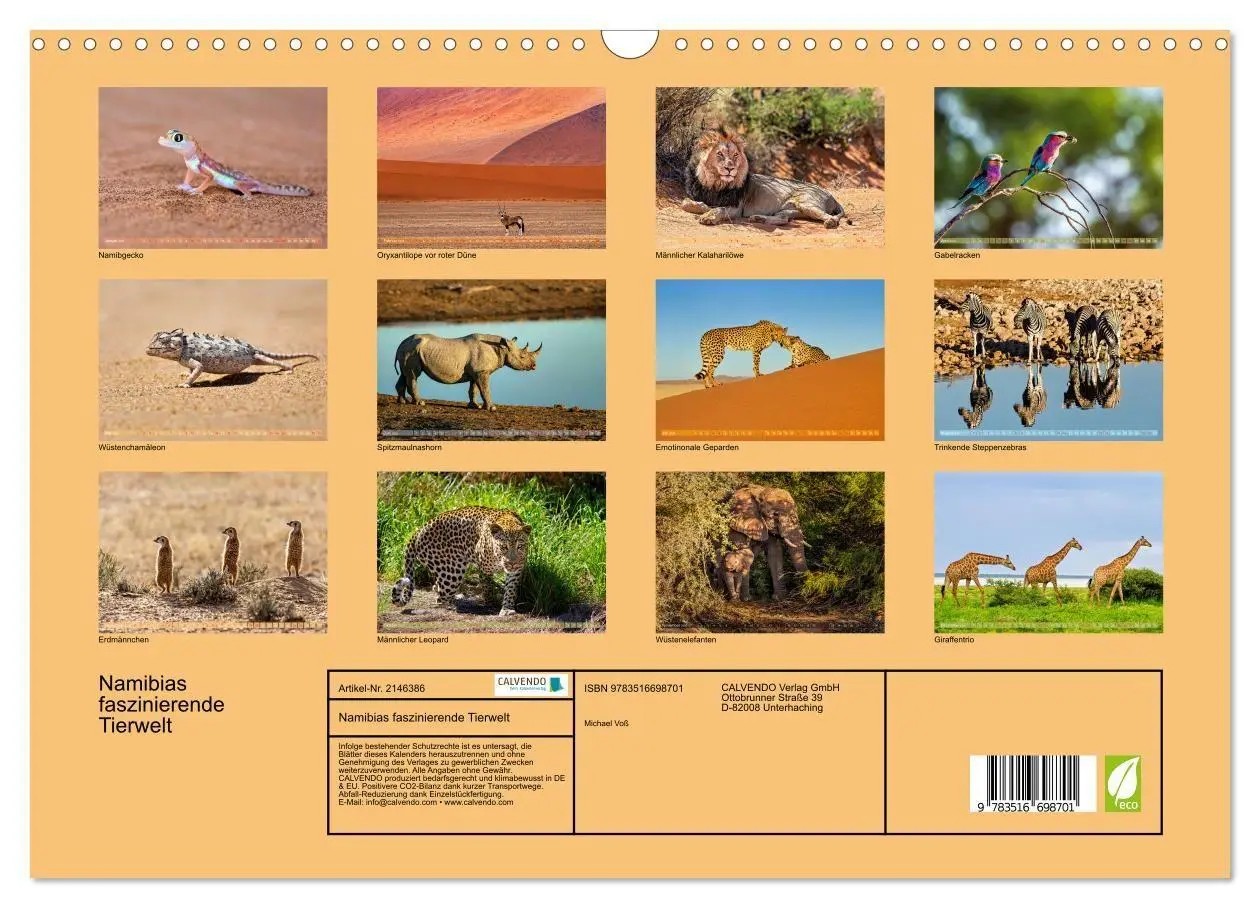 Bild: 9783516698701 | Namibias faszinierende Tierwelt (Wandkalender 2026 DIN A3 quer),...
