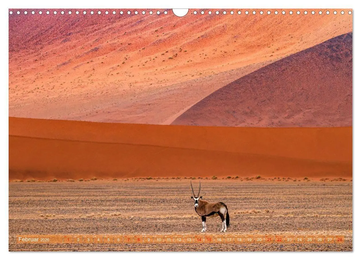 Bild: 9783516698701 | Namibias faszinierende Tierwelt (Wandkalender 2026 DIN A3 quer),...