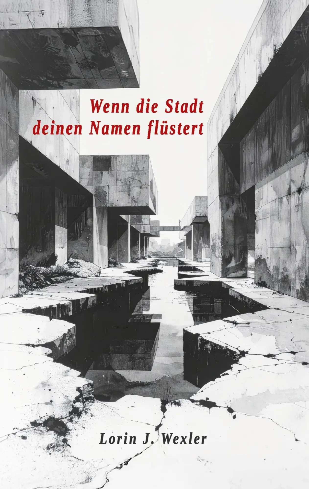 Cover: 9783695728701 | Wenn die Stadt deinen Namen flüstert | Lorin J. Wexler | Taschenbuch