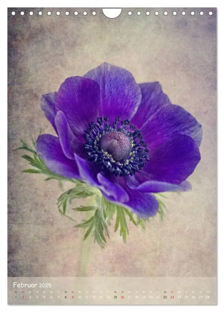 Bild: 9783457048801 | Blumengeflüster (Wandkalender 2025 DIN A4 hoch), CALVENDO...