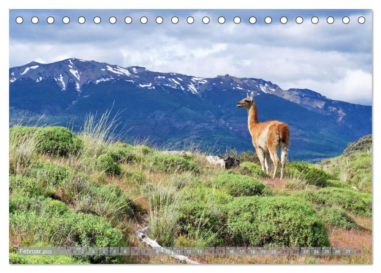 Bild: 9783457288801 | Der Kleine Süden von Chile (Tischkalender 2026 DIN A5 quer),...