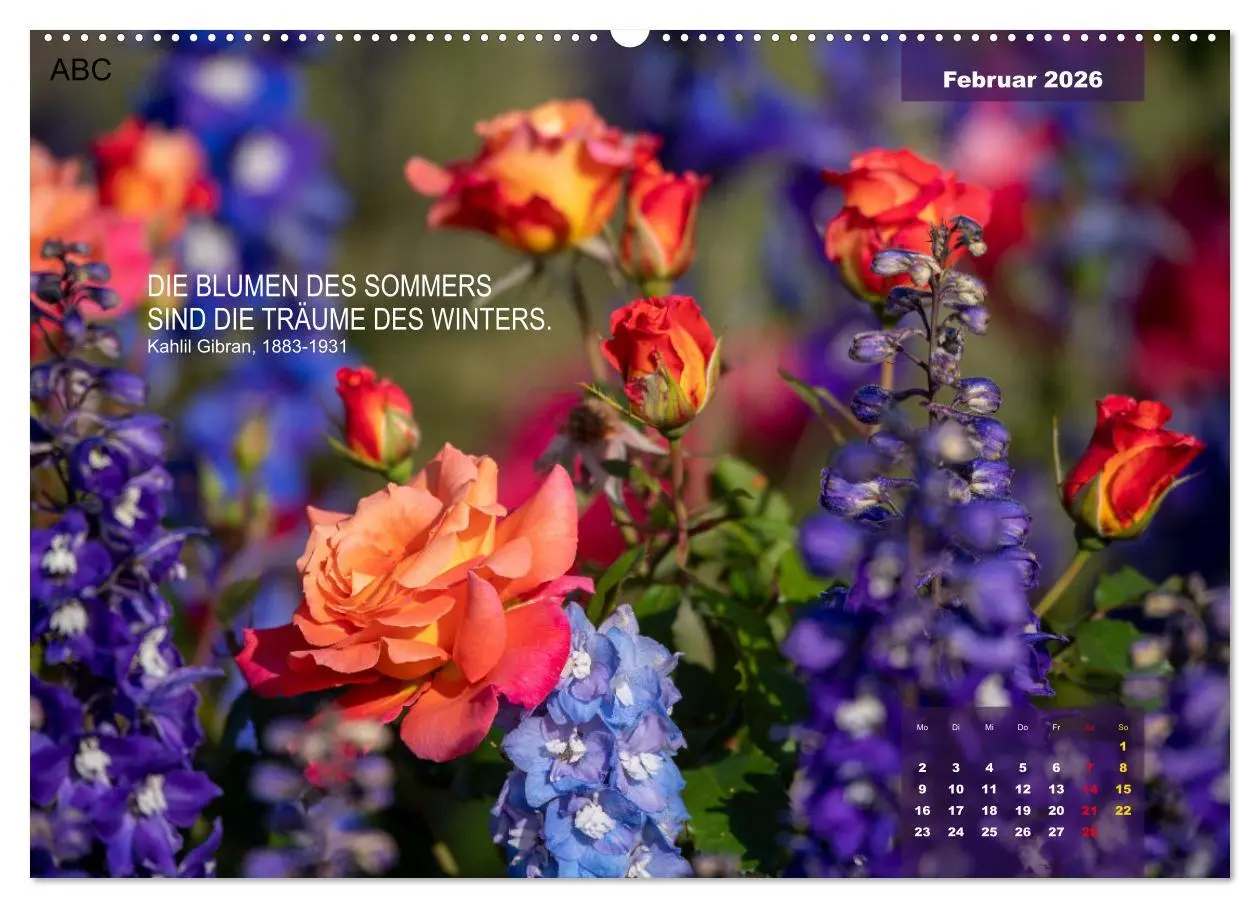 Bild: 9783457428801 | Rose Königin des Gartens (hochwertiger Premium Wandkalender 2026...