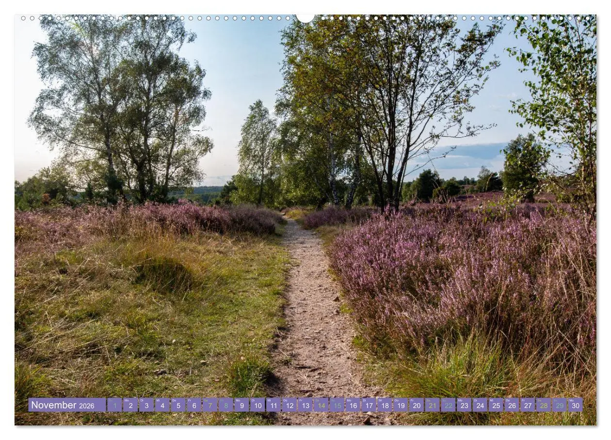 Bild: 9783457598801 | Die Farbenpracht der Lüneburger Heide (Wandkalender 2026 DIN A2...