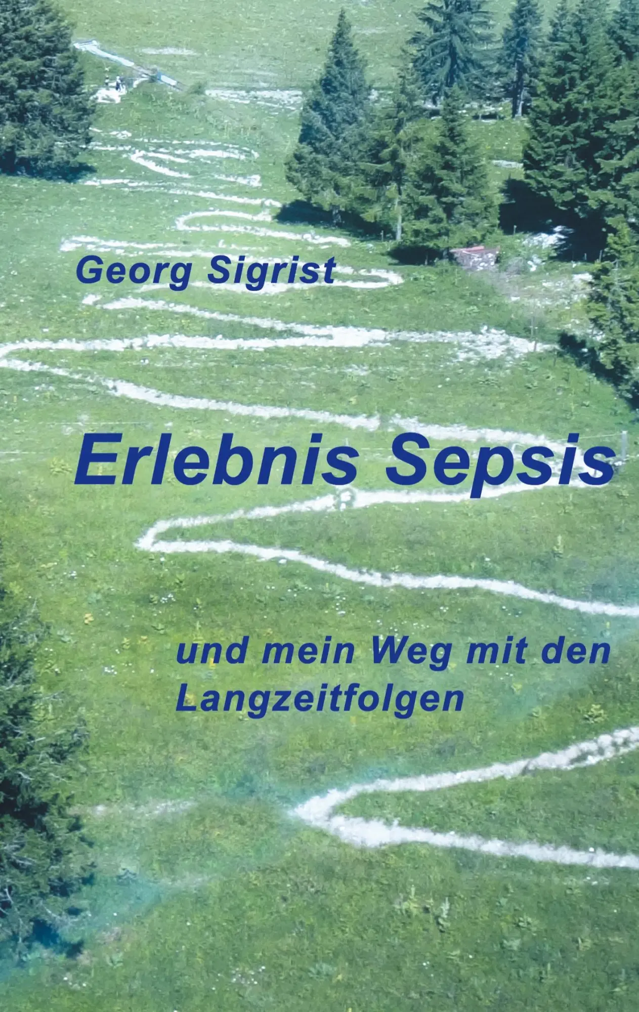 Cover: 9783769378801 | Erlebnis Sepsis | und mein Weg mit den Langzeitfolgen | Georg Sigrist