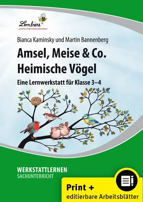 Cover: 9783869988801 | Amsel, Meise &amp; Co: Heimische Vögel | (3. und 4. Klasse) | Mappe | 2022