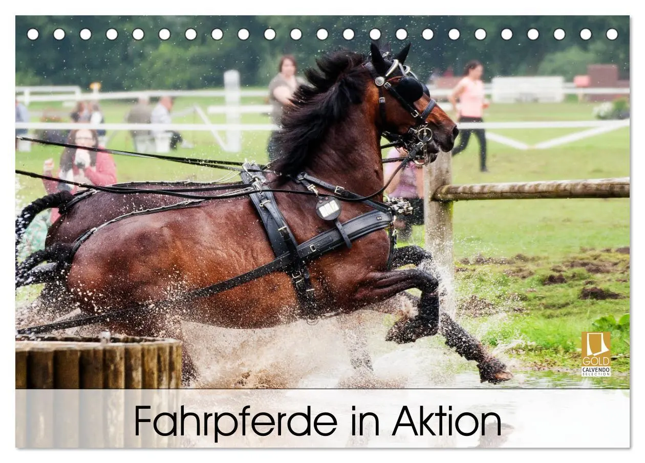 Cover: 9783457728901 | Fahrpferde in Aktion (Tischkalender 2026 DIN A5 quer), CALVENDO...