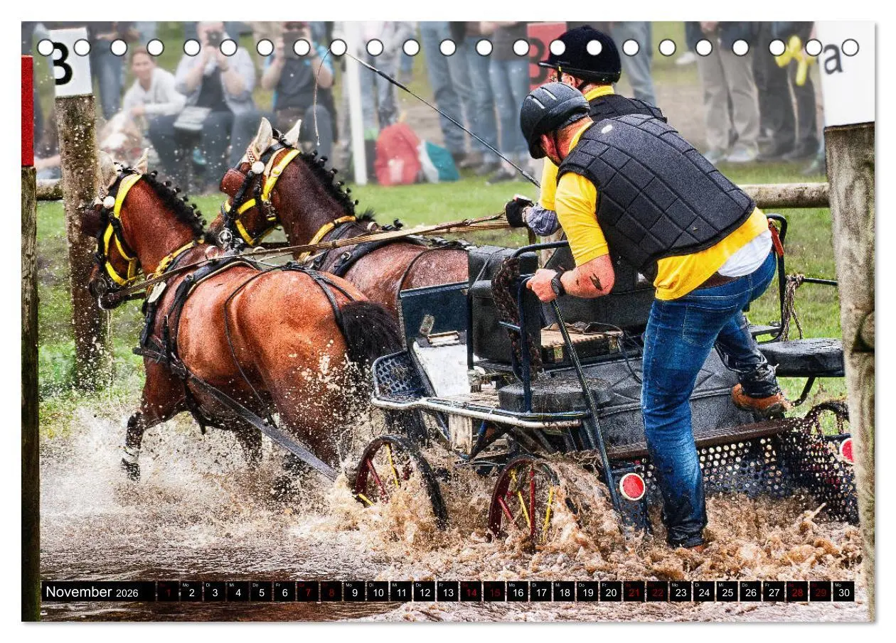 Bild: 9783457728901 | Fahrpferde in Aktion (Tischkalender 2026 DIN A5 quer), CALVENDO...