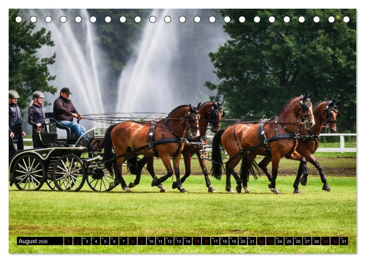 Bild: 9783457728901 | Fahrpferde in Aktion (Tischkalender 2026 DIN A5 quer), CALVENDO...