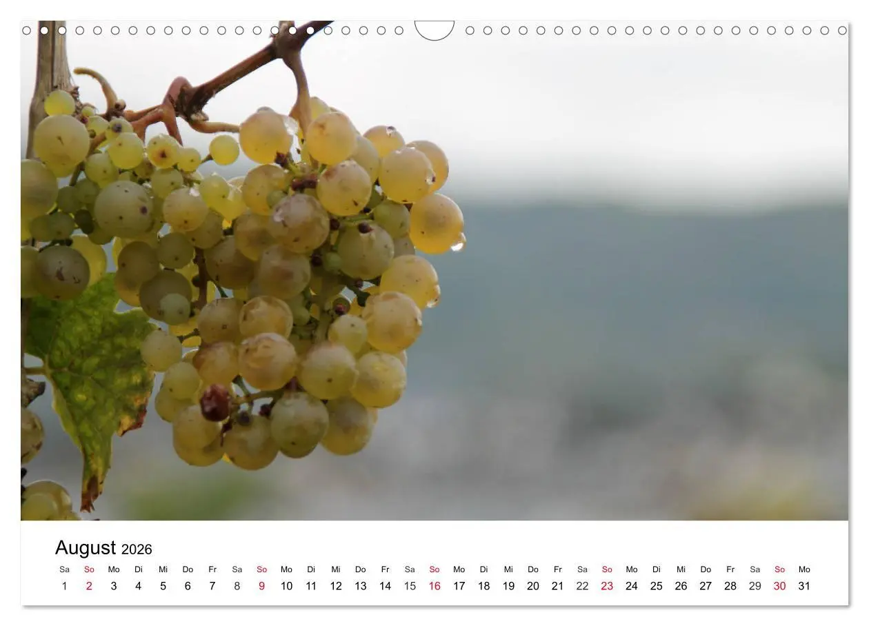 Bild: 9783457898901 | Bernkastel-Kues an der Mosel (Wandkalender 2026 DIN A3 quer),...