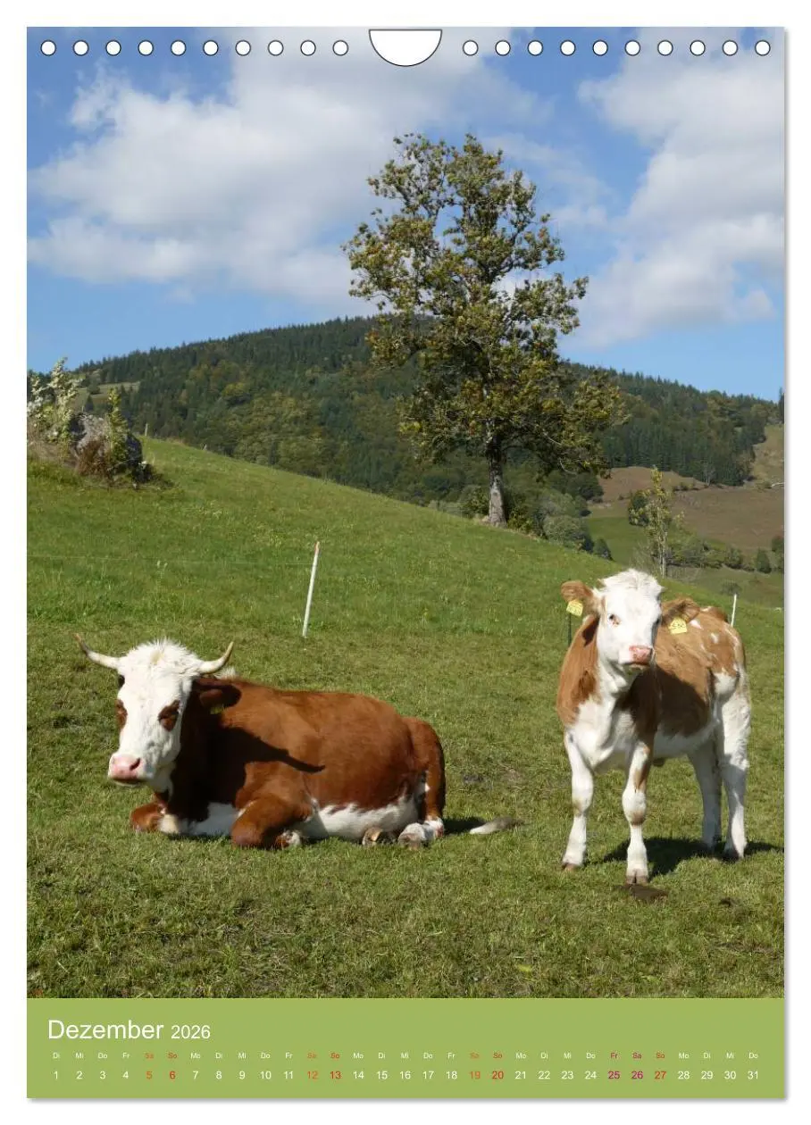 Bild: 9783516438901 | Schwarzwald und Kühe im Hochformat (Wandkalender 2026 DIN A4 hoch),...