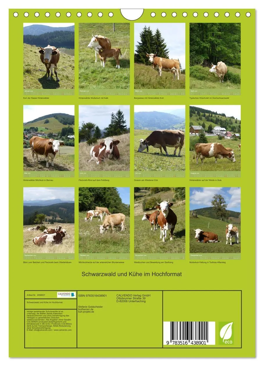Bild: 9783516438901 | Schwarzwald und Kühe im Hochformat (Wandkalender 2026 DIN A4 hoch),...