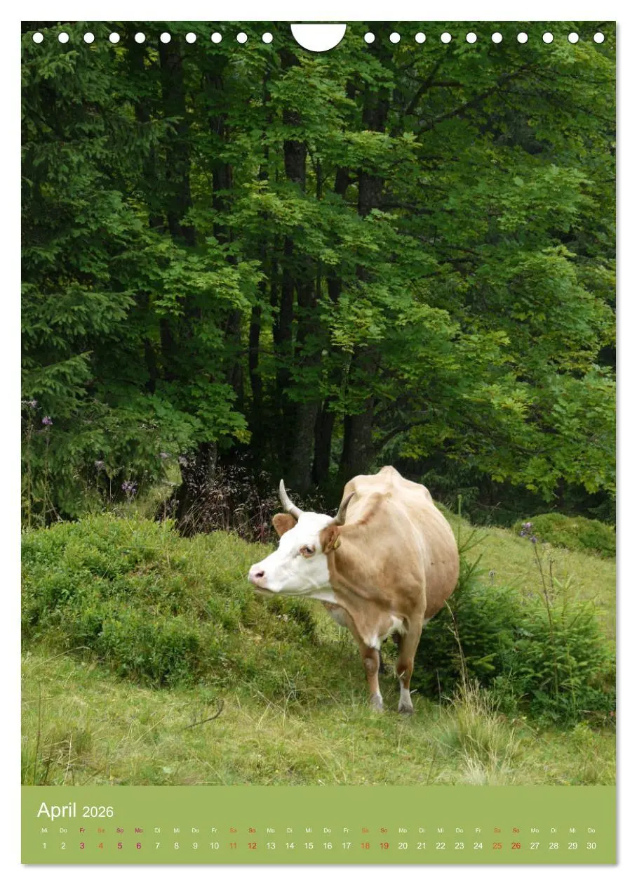 Bild: 9783516438901 | Schwarzwald und Kühe im Hochformat (Wandkalender 2026 DIN A4 hoch),...