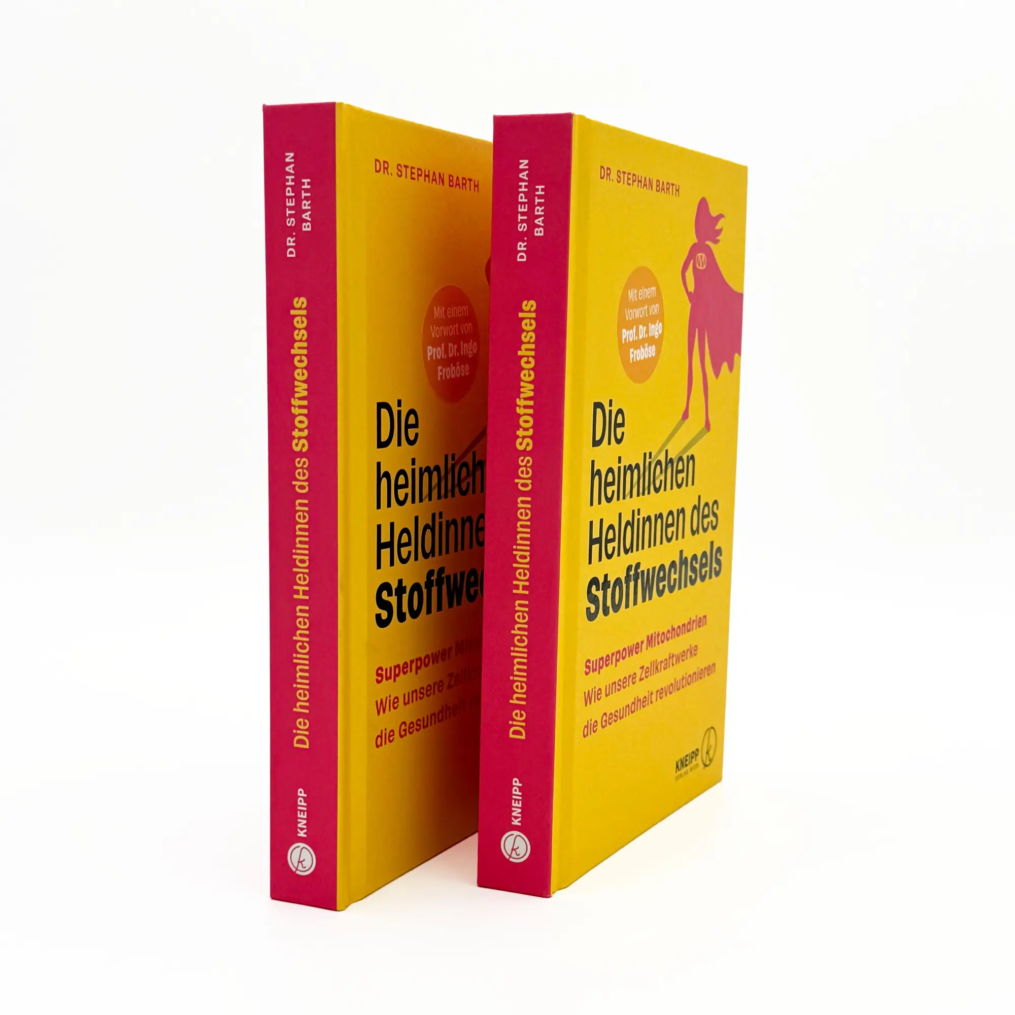 Bild: 9783708808901 | Die heimlichen Heldinnen des Stoffwechsels | Stephan Barth | Buch