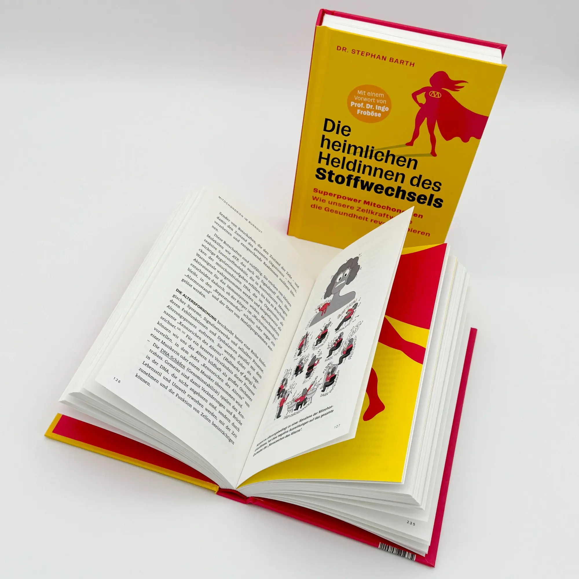 Bild: 9783708808901 | Die heimlichen Heldinnen des Stoffwechsels | Stephan Barth | Buch