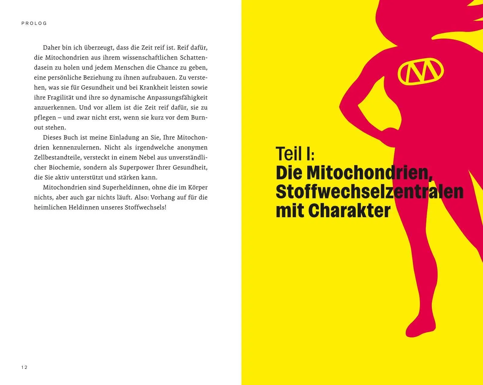 Bild: 9783708808901 | Die heimlichen Heldinnen des Stoffwechsels | Stephan Barth | Buch