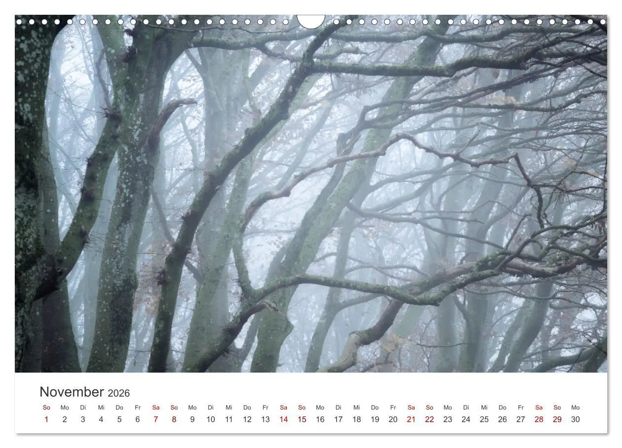 Bild: 9783457619001 | Schwäbische Alb neu erleben (Wandkalender 2026 DIN A3 quer),...