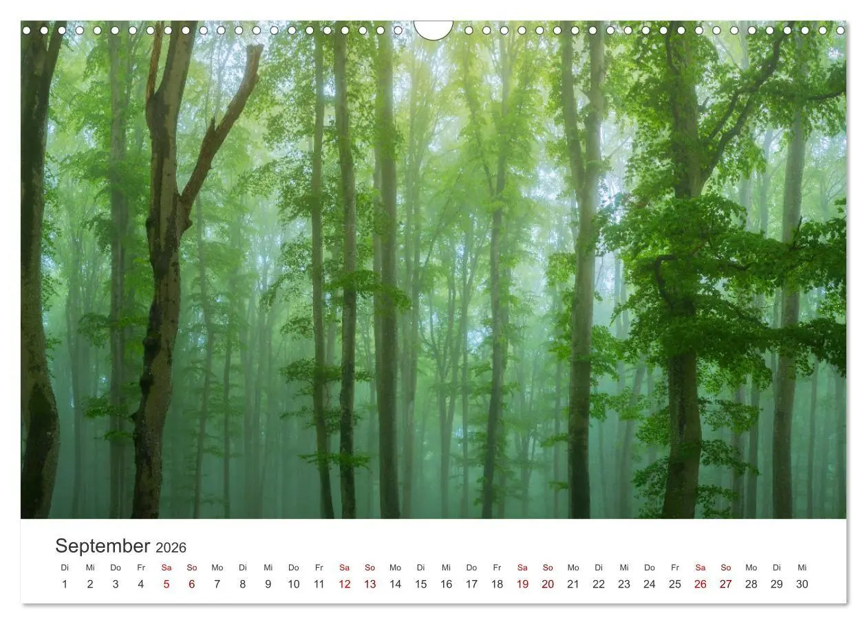 Bild: 9783457619001 | Schwäbische Alb neu erleben (Wandkalender 2026 DIN A3 quer),...