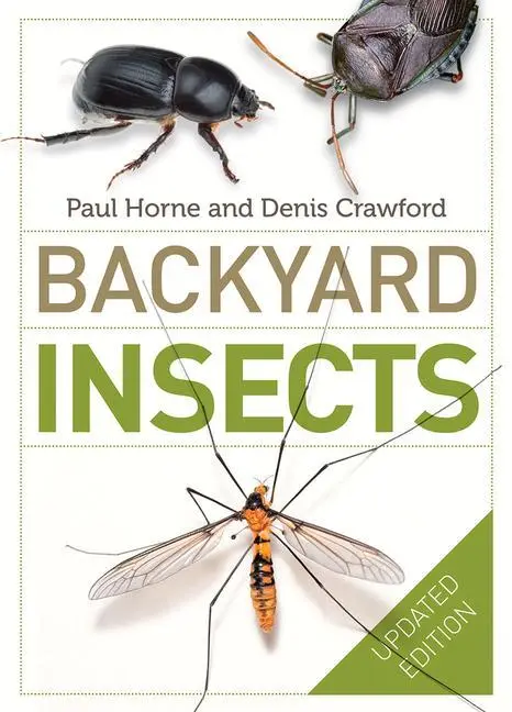 Cover: 9780522869101 | Backyard Insects Updated Edition | Paul Horne (u. a.) | Taschenbuch