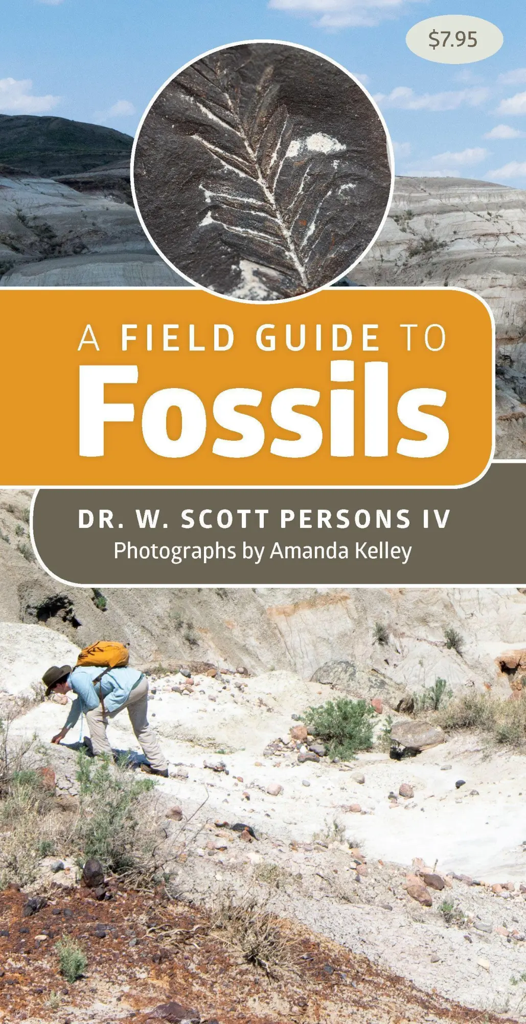 Cover: 9781550179101 | A Field Guide to Fossils | W. Scott Persons | Taschenbuch | Ordner
