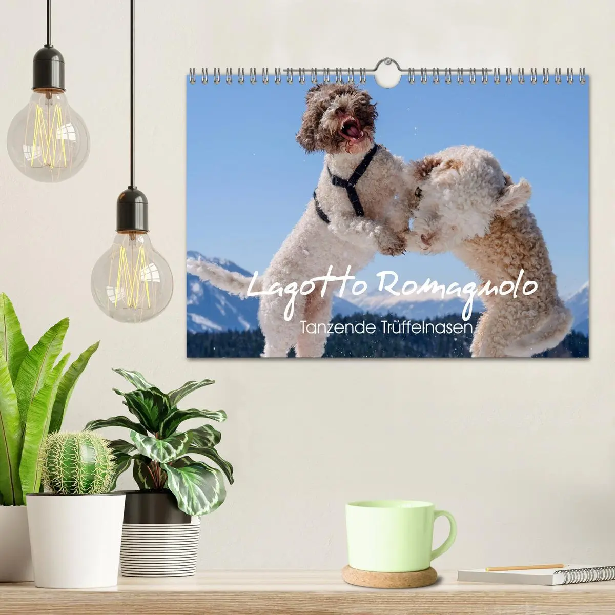 Bild: 9783457919101 | Lagotto Romagnolo Tanzende Trüffelnasen (Wandkalender 2026 DIN A4...