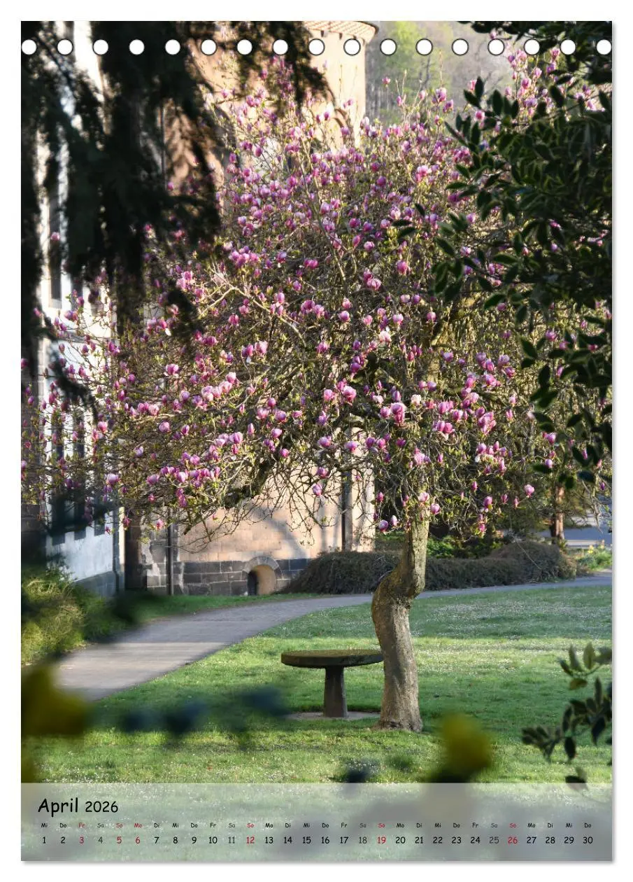 Bild: 9783516489101 | Wege als Traumpfade (Tischkalender 2026 DIN A5 hoch), CALVENDO...