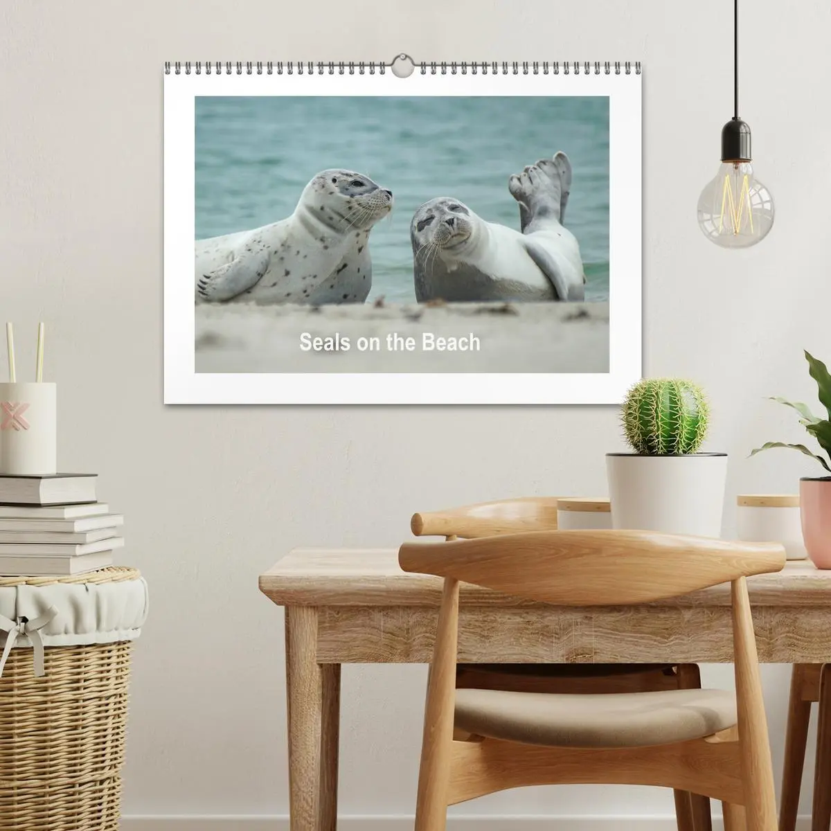 Bild: 9783516559101 | Seals on the Beach (Wall Calendar 2026 DIN A3 landscape), CALVENDO...