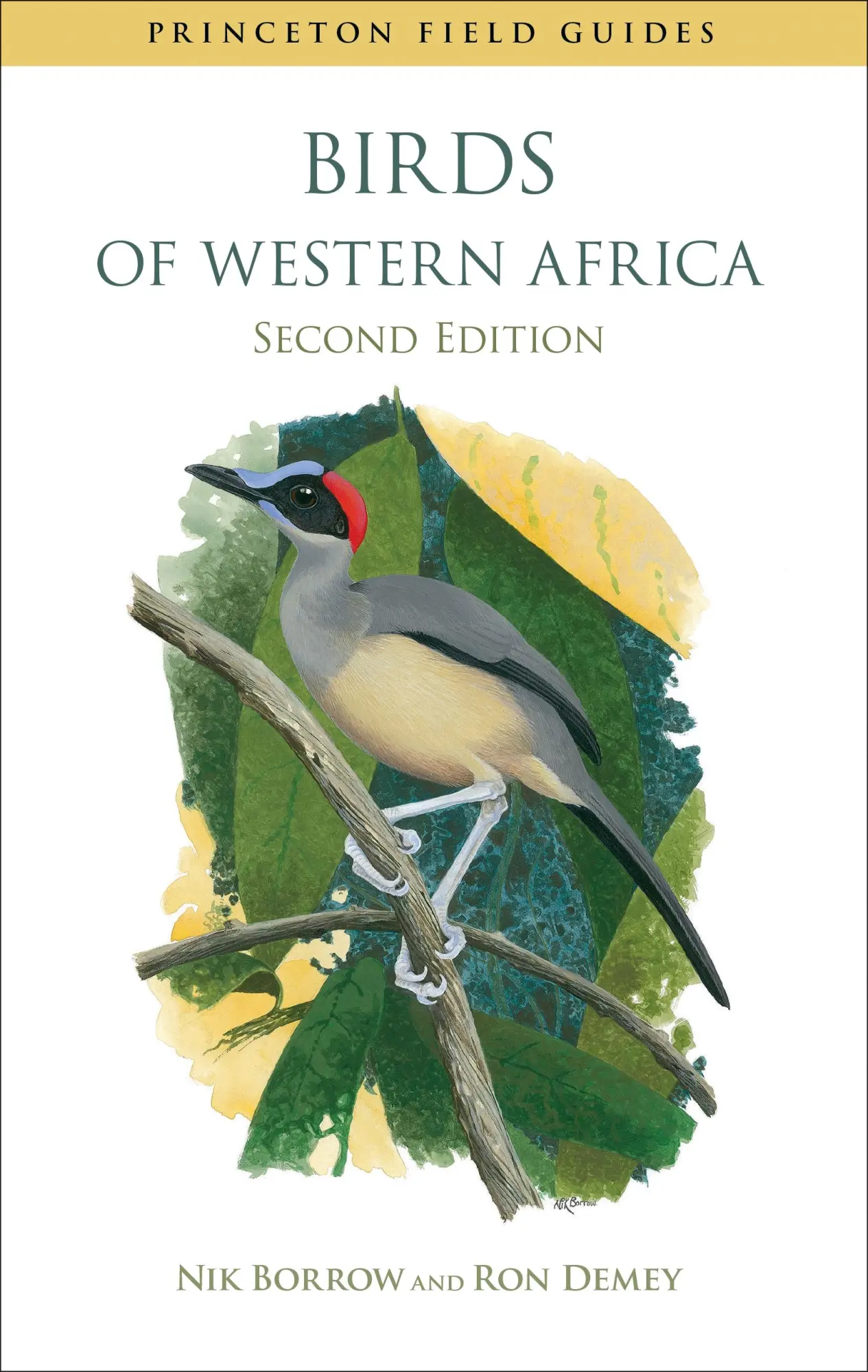 Cover: 9780691159201 | Birds of Western Africa | Second Edition | Nik Borrow (u. a.) | Buch