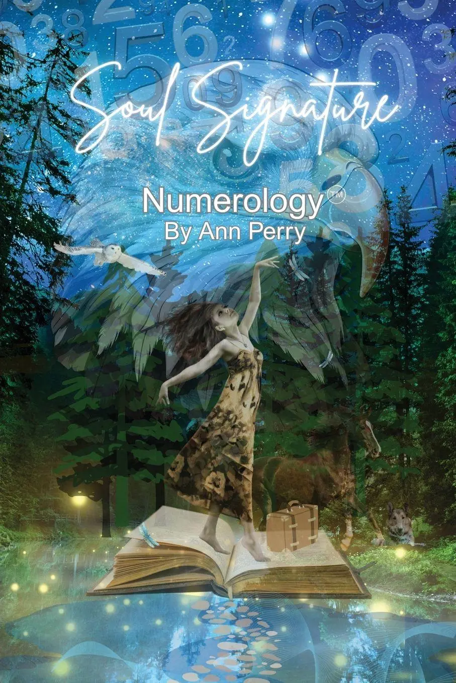 Cover: 9781738299201 | Soul Signature Numerology(TM) | Ann Perry | Taschenbuch | Englisch