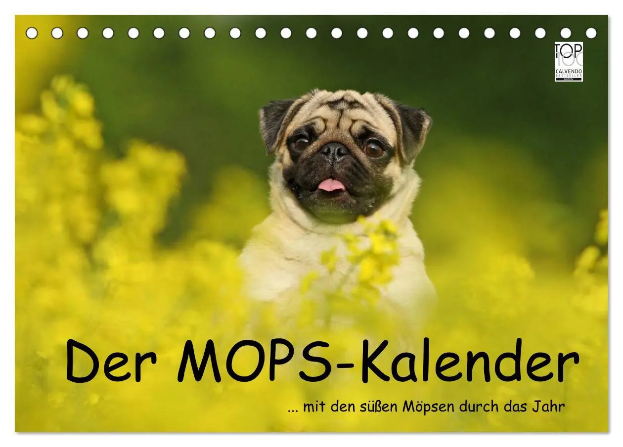 Cover: 9783516169201 | Der MOPS-Kalender (Tischkalender 2026 DIN A5 quer), CALVENDO...