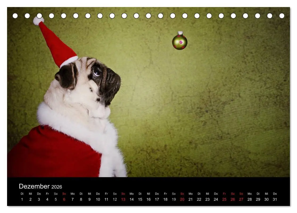 Bild: 9783516169201 | Der MOPS-Kalender (Tischkalender 2026 DIN A5 quer), CALVENDO...