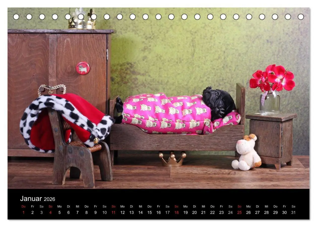 Bild: 9783516169201 | Der MOPS-Kalender (Tischkalender 2026 DIN A5 quer), CALVENDO...