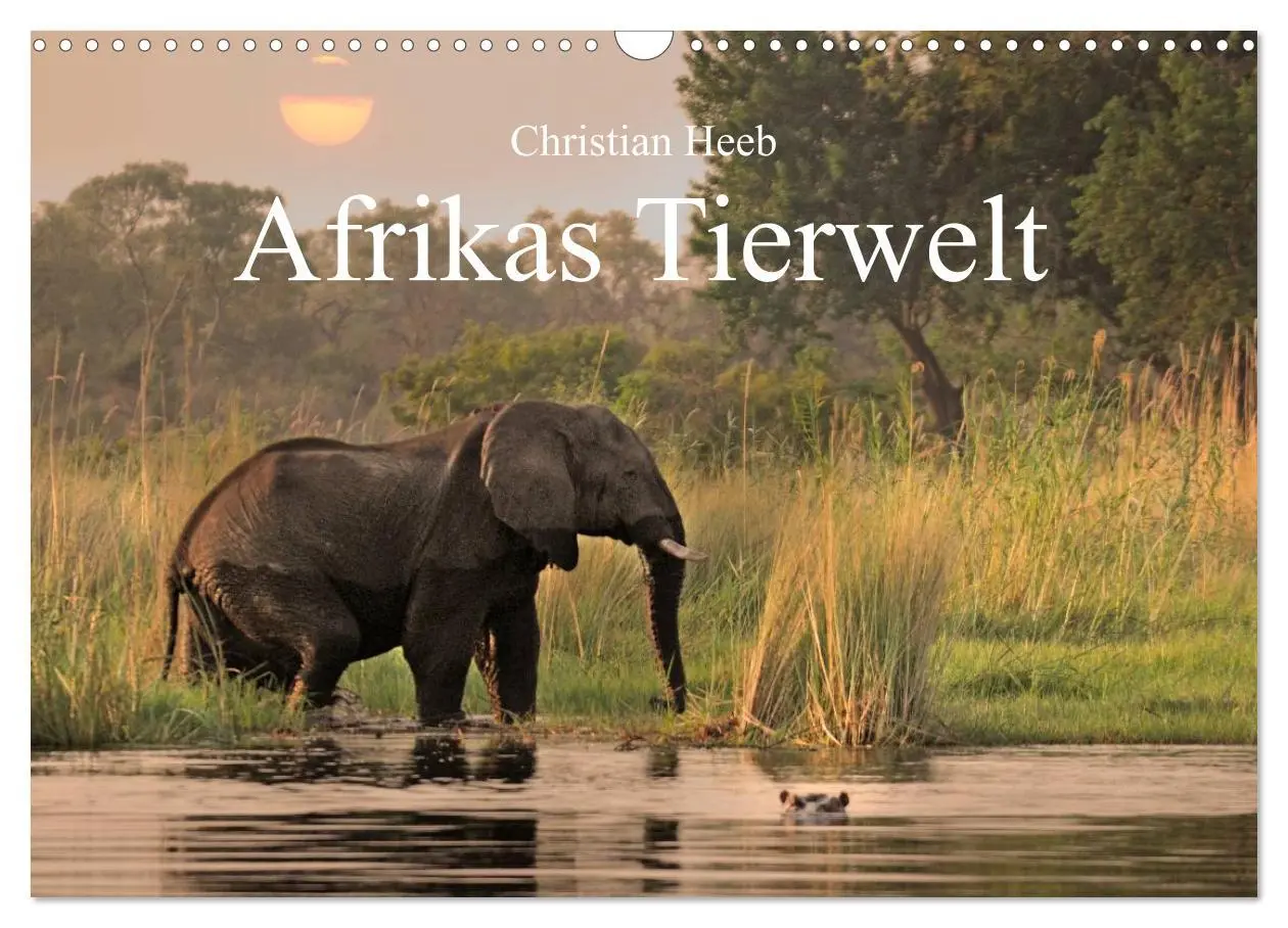 Cover: 9783516239201 | Afrikas Tierwelt Christian Heeb (Wandkalender 2026 DIN A3 quer),...