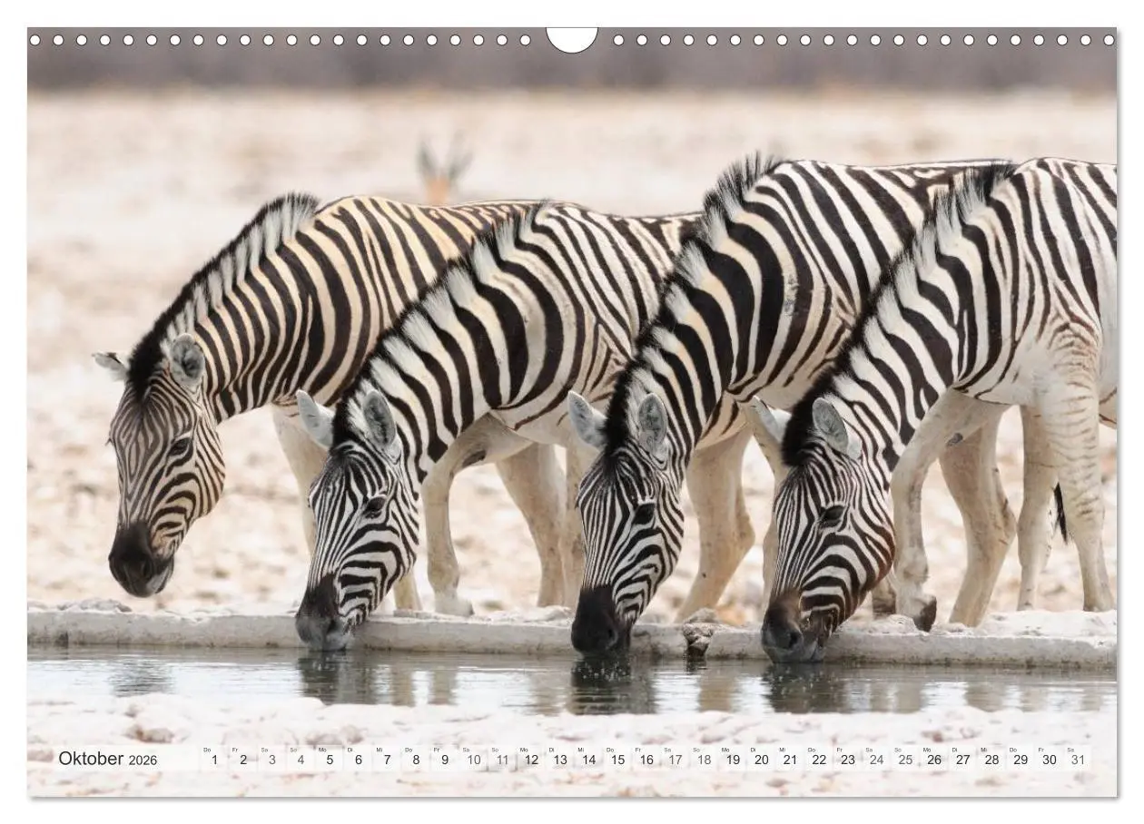 Bild: 9783516239201 | Afrikas Tierwelt Christian Heeb (Wandkalender 2026 DIN A3 quer),...