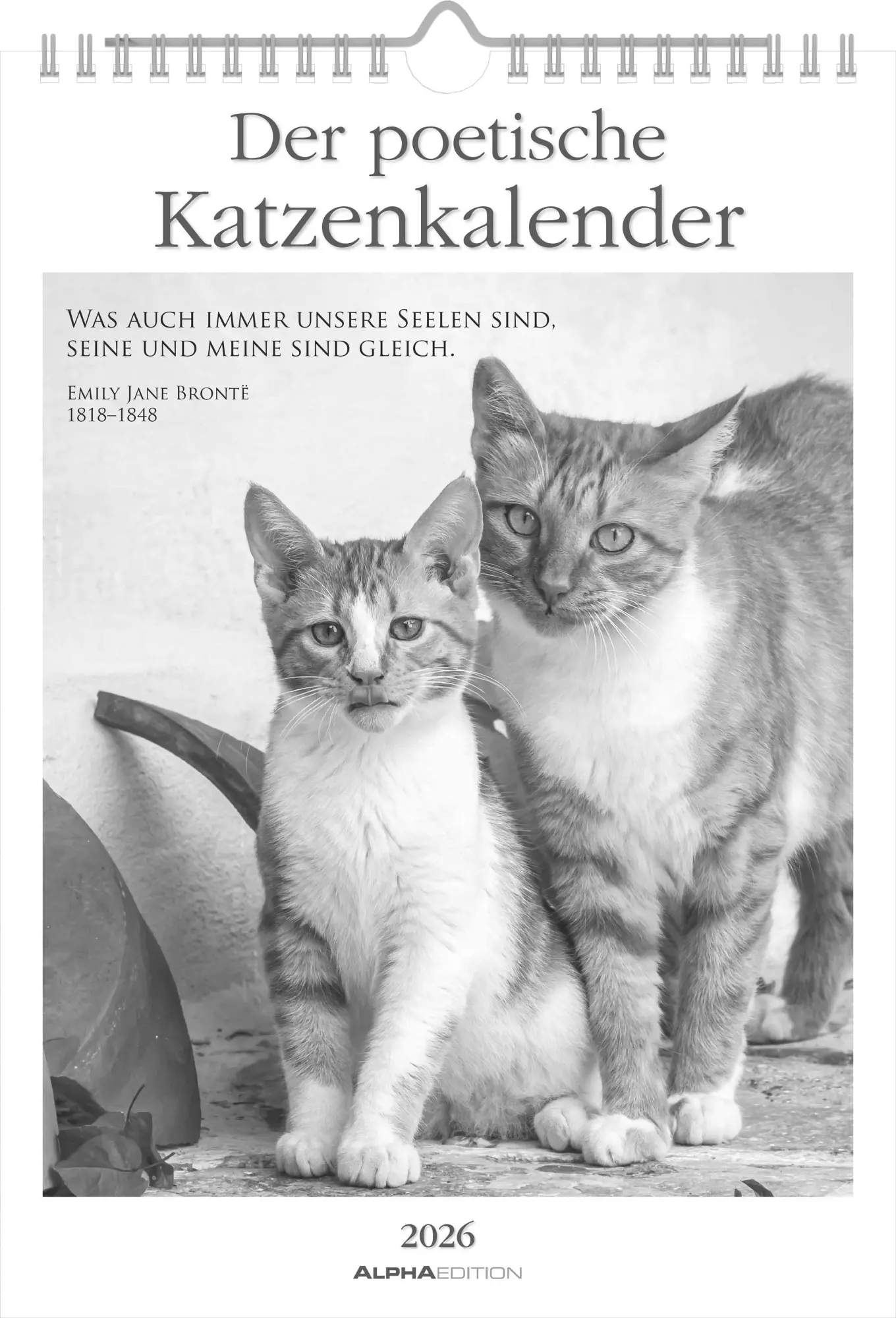 Cover: 4069095009301 | Der poetische Katzenkalender im Format 21 x 29,7 | Alpha Edition
