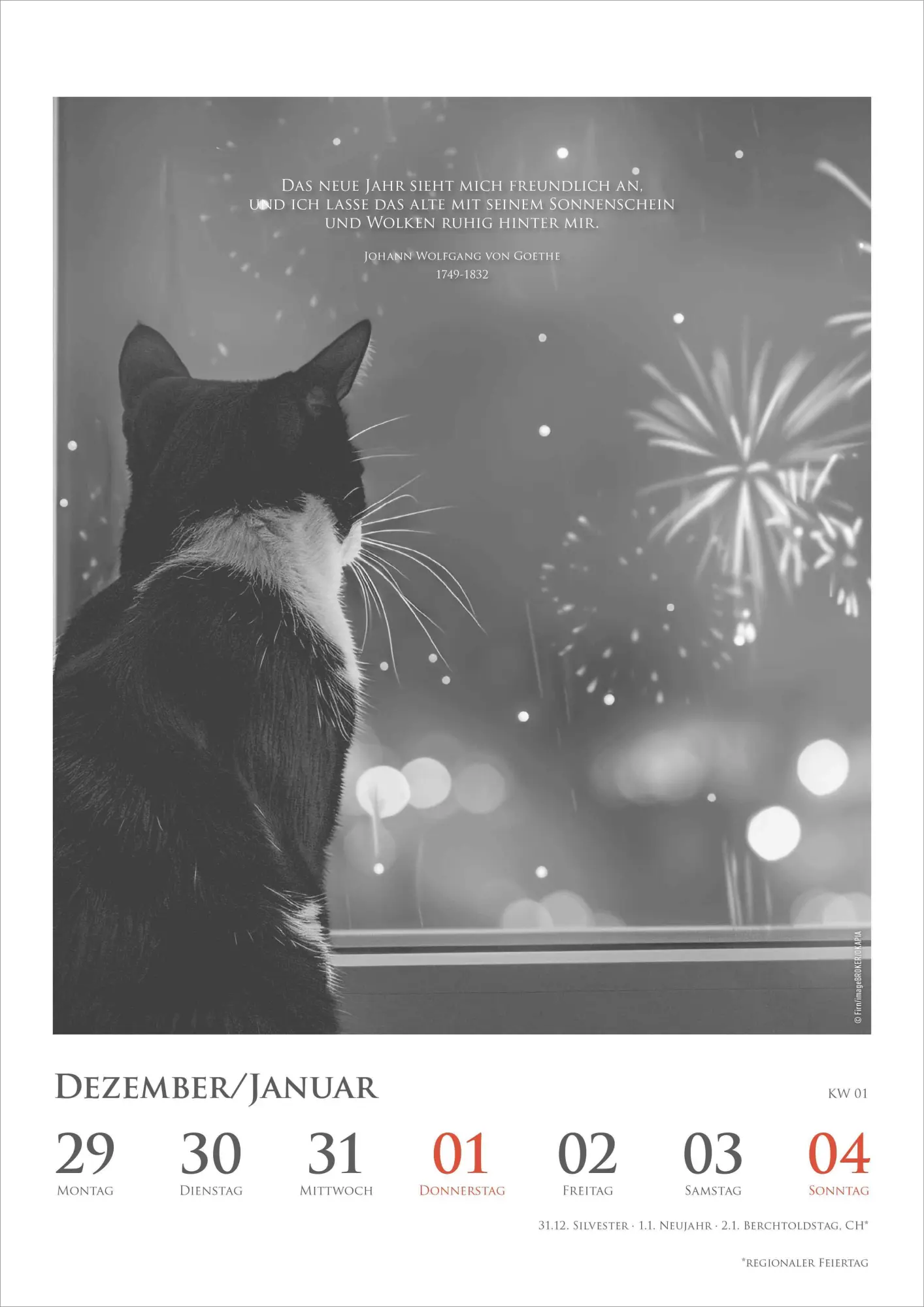 Bild: 4069095009301 | Der poetische Katzenkalender im Format 21 x 29,7 | Alpha Edition