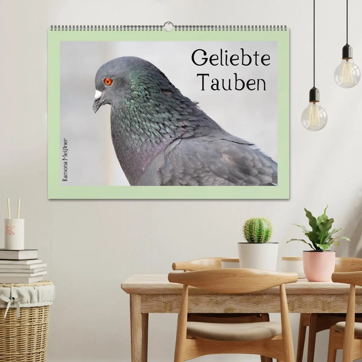 Bild: 9783516159301 | Geliebte Tauben (Wandkalender 2026 DIN A2 quer), CALVENDO...