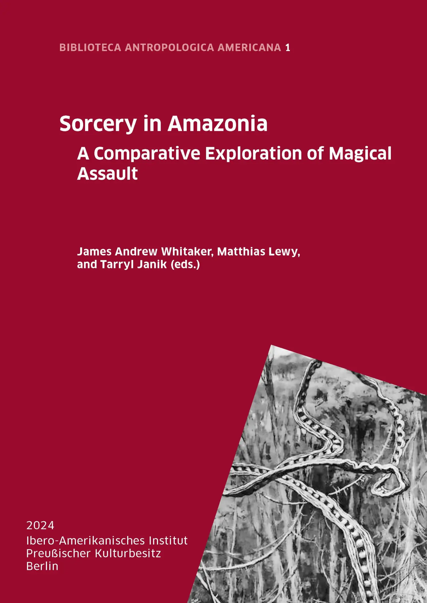 Cover: 9783786129301 | Sorcery in Amazonia | A Comparative Exploration of Magical Assault