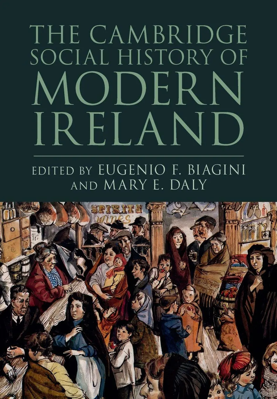 Cover: 9781107479401 | The Cambridge Social History of Modern Ireland | Biagini (u. a.)