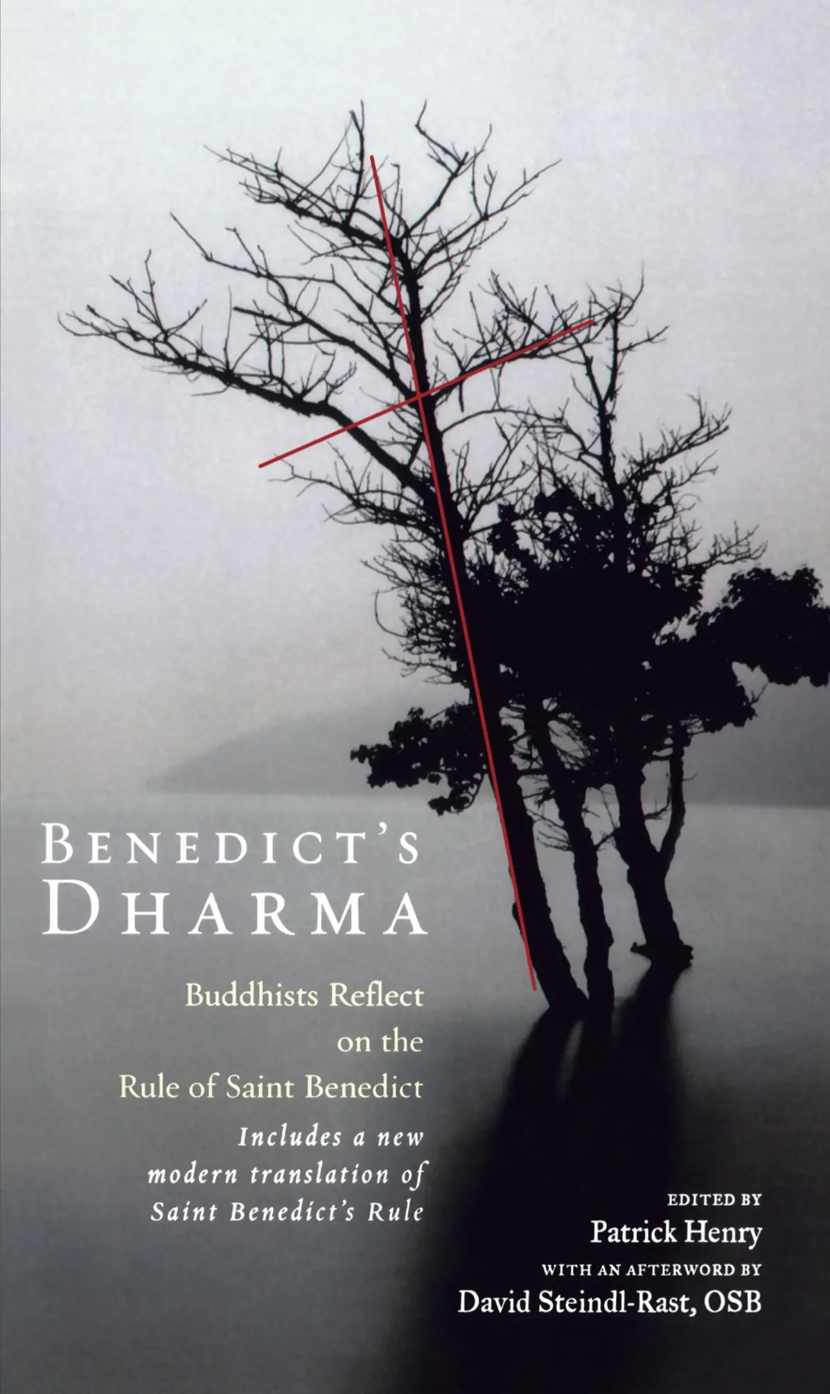 Cover: 9781573229401 | Benedict's Dharma | Buddhists Reflect on the Rule of Saint Benedict