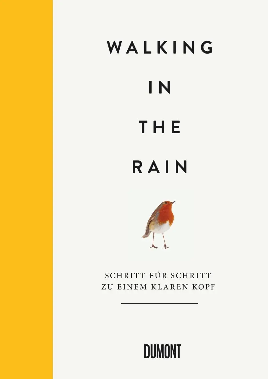 Cover: 9783832199401 | Walking in the Rain | Schritt für Schritt zu einem klaren Kopf | Mind