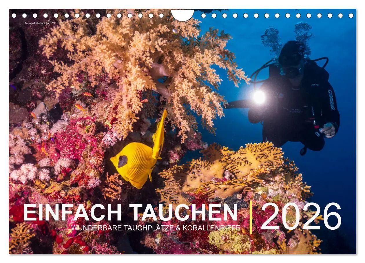 Cover: 9783457669501 | Einfach Tauchen - Wunderbare Tauchplätze und Korallenriffe...